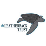 leatherback trust, leatherback trust gear